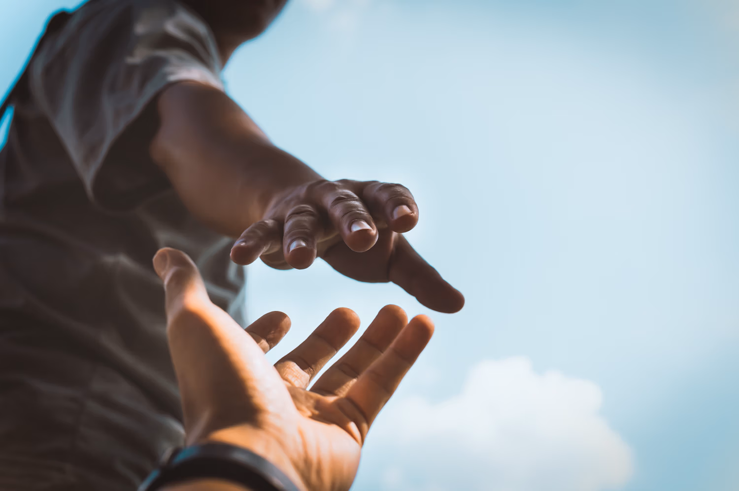 North Charleston Dog Bite Lawyer — Cannon Law Firm