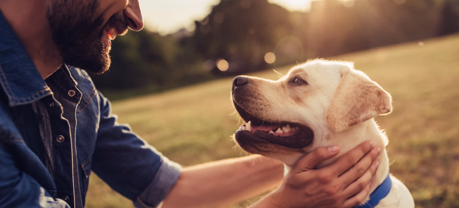 North Charleston Dog Bite Lawyer